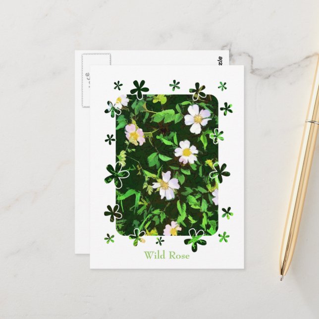 CARTE POSTALE FLEUR SAUVAGE (Devant/Arrière en situation)