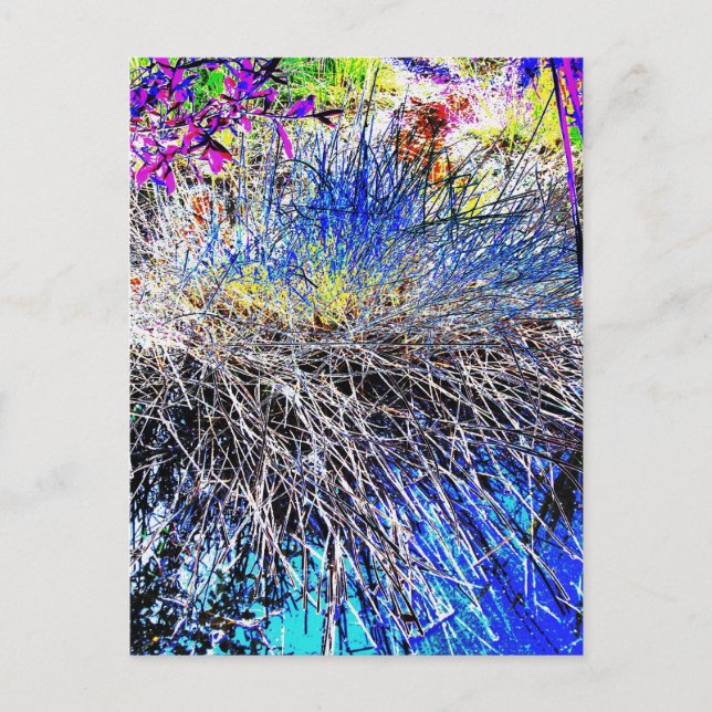 CARTE POSTALE FLEUR SAUVAGE (Devant)