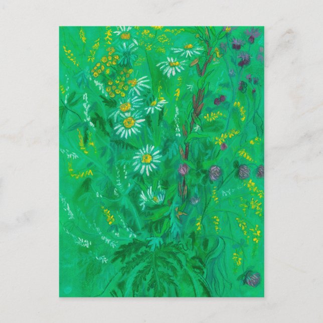 Carte Postale Fleur sauvage de juillet, Fleurs d'été peinture fl (Devant)