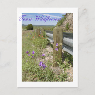 Carte Postale Fleur sauvage du Texas