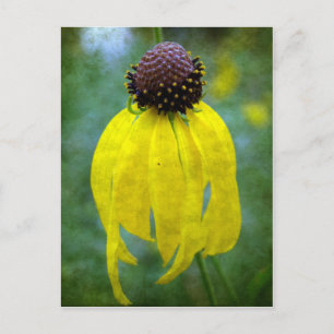 Carte Postale Fleur sauvage jaune