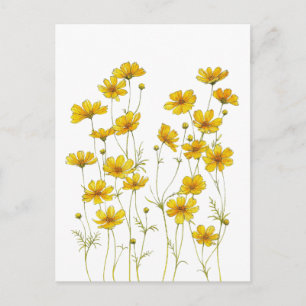 Carte Postale Fleur sauvage jaune – Florale botanique élégante