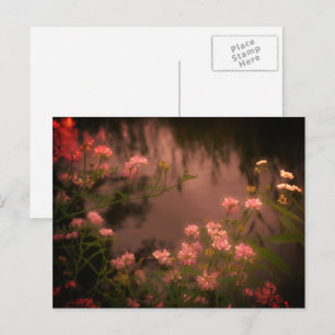 Carte postale Fleur sauvage rose