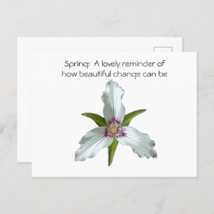 Carte postale Fleur sauvage Trillium Spring Peint