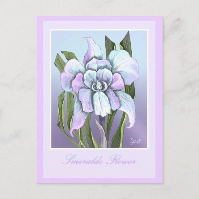 Carte postale Fleur Smeraldo (Devant)
