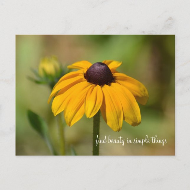 Carte Postale Fleur Susan aux yeux noirs (Devant)