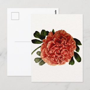 Carte Postale Fleur Vintage classique