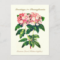 Fleur vintage de laurier de montagne