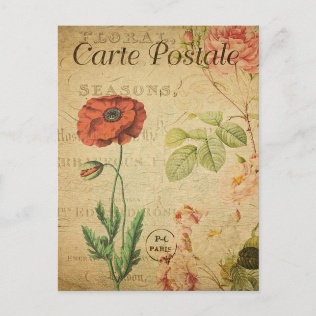 Carte Postale Fleur vintage rouge de pavot Floral Français (Devant)