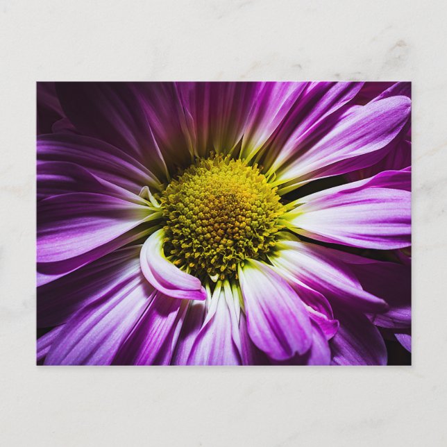 Carte postale Fleur Violette (Devant)