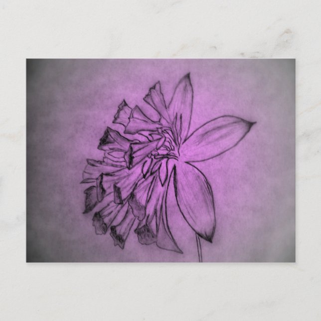 Carte Postale Fleur violette (Devant)
