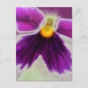 Carte Postale Fleur violette, Blanc violet