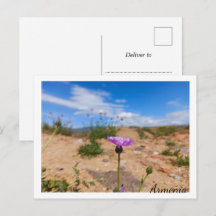 Fleur violette d'Arménie