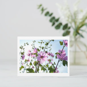 Carte Postale Fleurit d'arbre en été