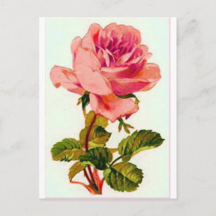 Carte Postale Fleurs