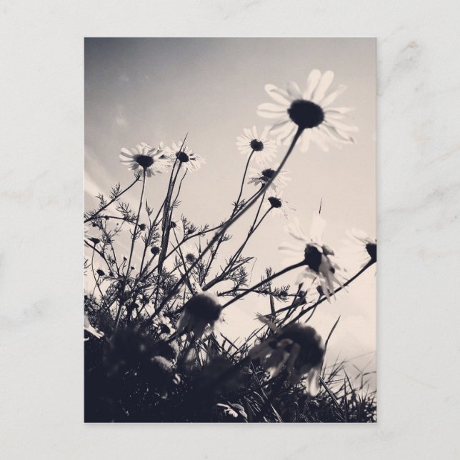 Carte Postale Fleurs (Devant)