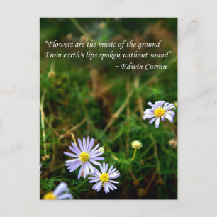 Carte postale Fleurs