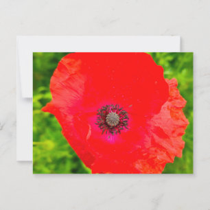 Carte Postale Fleurs