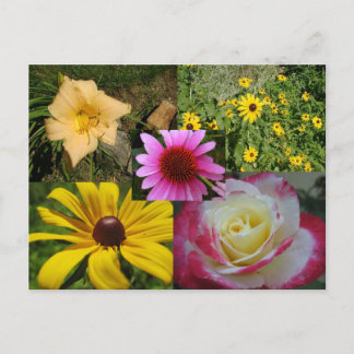 Carte Postale Fleurs