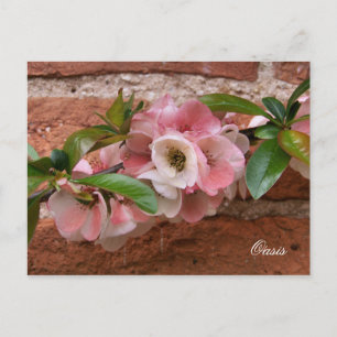 CARTE POSTALE FLEURS