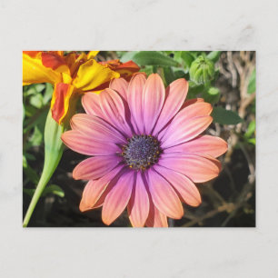 Carte Postale Fleurs