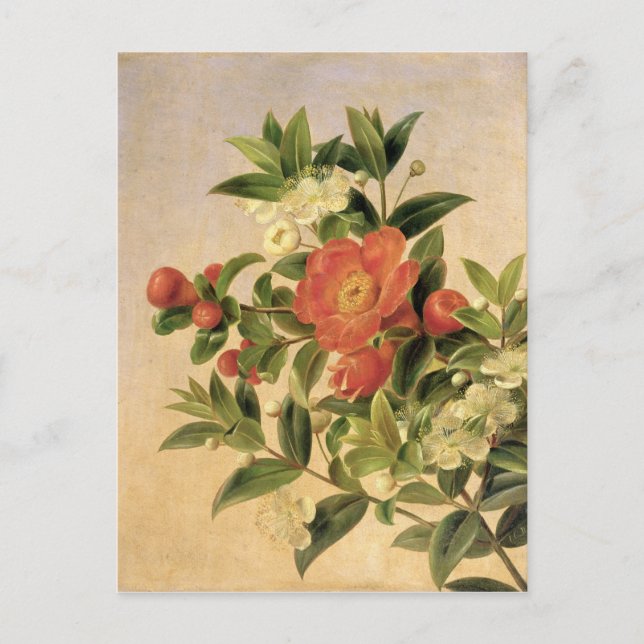 Carte Postale Fleurs, 1835 (Devant)