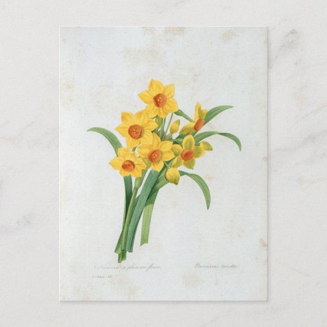 Carte Postale Fleurs 5 (Devant)