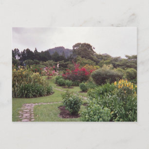 Carte Postale Fleurs à Boquete