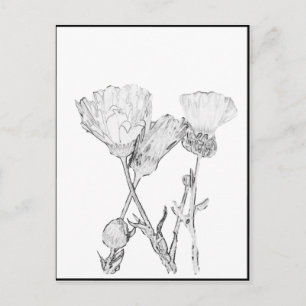 Carte postale - Fleurs à colorier