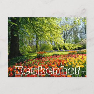 Carte Postale Fleurs à Keukenhof,, arbres et tulipes