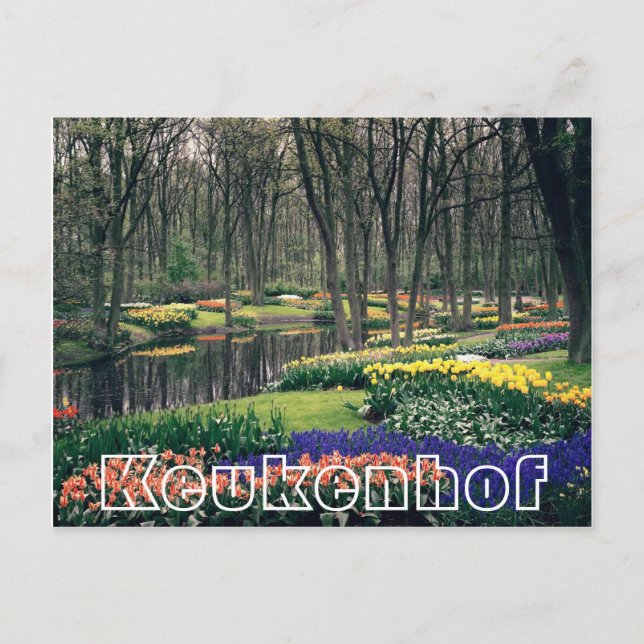 Carte Postale Fleurs à Keukenhof, bois et canal (Devant)