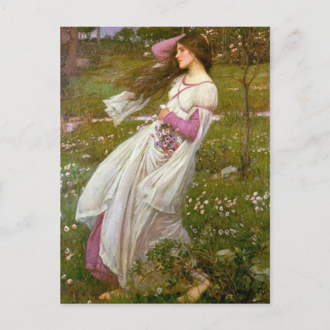 Carte Postale Fleurs à vent (Devant)