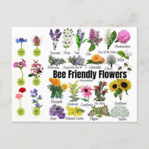 Carte postale Fleurs Abeilles