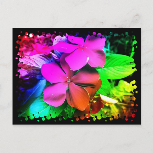 Carte Postale Fleurs amusantes (Devant)