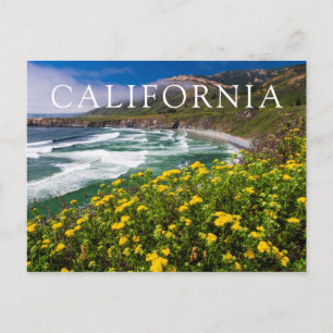 Carte Postale Fleurs Au-Dessus De La Plage De Sable Dollar