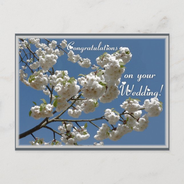 Carte Postale Fleurs blanches (Devant)