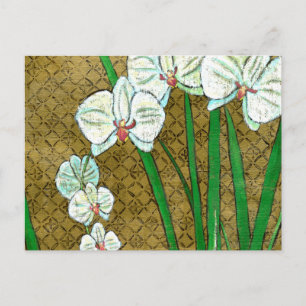 Carte Postale Fleurs blanches et tiges vertes à la frontière Bro