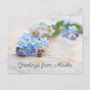 Carte Postale Fleurs bleues Oubliez-moi pas les salutations de l