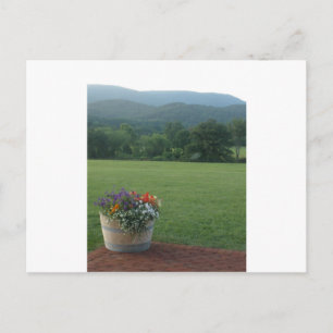 Carte Postale Fleurs Blue Ridge