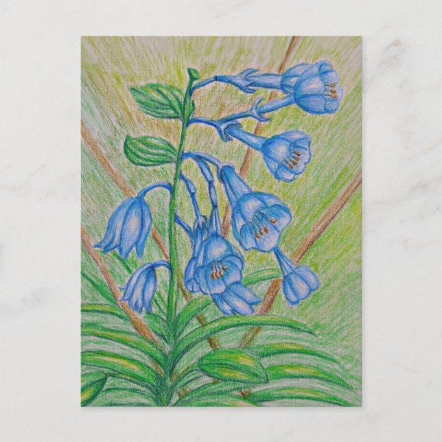 Carte Postale Fleurs BlueBell (Devant)
