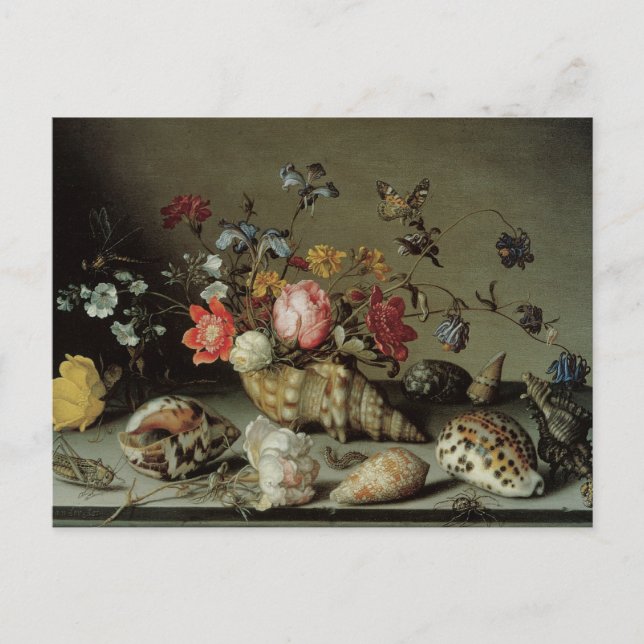 Carte Postale Fleurs, coquillages et insectes Balthasar van der  (Devant)
