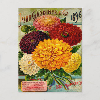 Carte Postale Fleurs Dahlia Vintages colorées