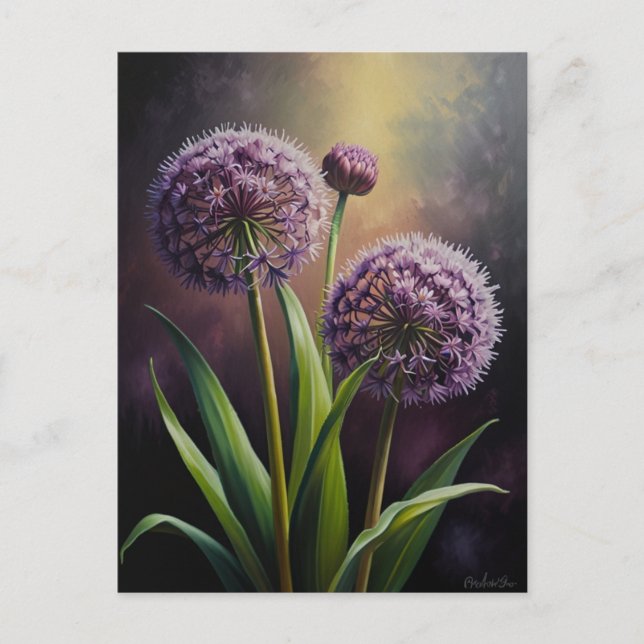Carte Postale Fleurs d'Allium (Devant)