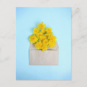 Carte Postale Fleurs   Dandelions dans l'enveloppe