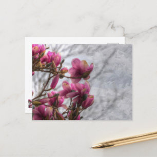Carte postale Fleurs d'arbre de tulipe