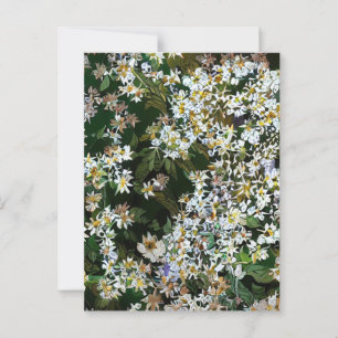 CARTE POSTALE FLEURS D'ASTER