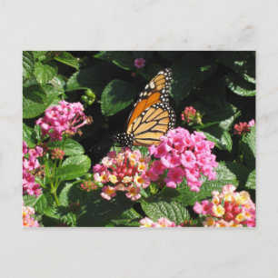 Carte postale Fleurs de beurre