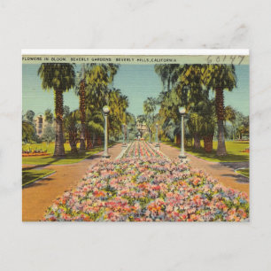 Carte Postale Fleurs de Beverly Hills