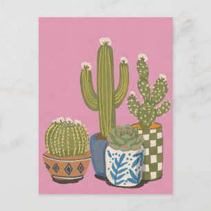 Carte Postale Fleurs de cactus rose