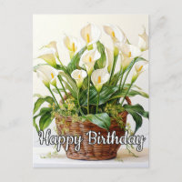 Fleurs de calla en fleurs
